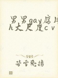 男男gay腐片h大尺度cⅴ小蓝