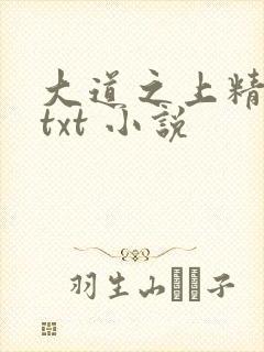 大道之上精校版txt 小说
