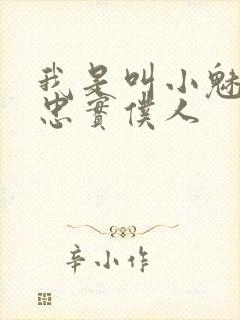 我是叫小魅魔的忠实仆人封面