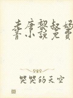 老唐黎叔妈妈菁菁小说免费阅读