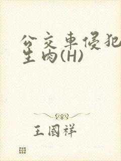 公交车侵犯小男生肉(H)