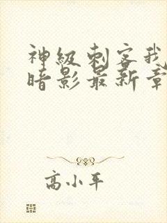 神级刺客我即是暗影最新章节