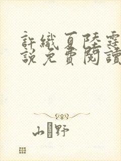 许织夏陆霆渊小说免费阅读最新章节