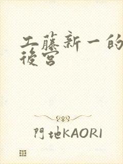 工藤新一的日本后宫