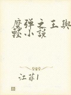 魔弹之王与战姬轻小说封面