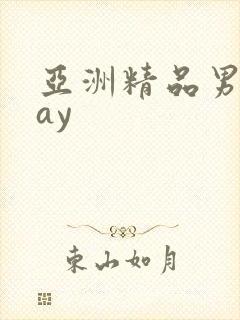 亚洲精品男同gay