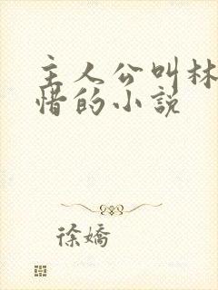 主人公叫林凡叶惜的小说