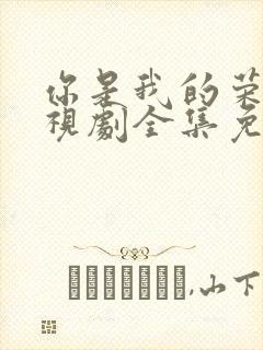 你是我的荣耀电视剧全集免费西瓜封面