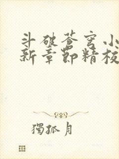 斗破苍穹小说最新章节精校版封面