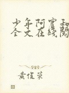 少年阿宾和房东全文在线阅读封面