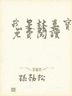 我是林喜宝小说免费阅读