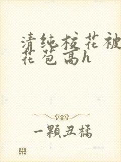 清纯校花被迫开花苞高h封面