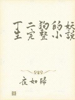 丁二狗的妖孽人生完整小说笔