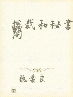 总裁和秘书笔趣阁封面