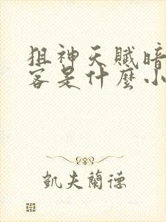 狙神天赋暗影刺客是什么小说