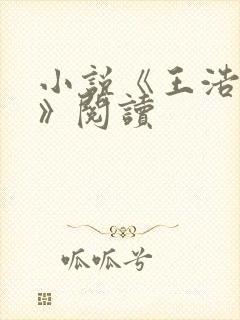 小说《王浩李洁》阅读封面