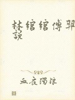 林绾绾傅羿安小说