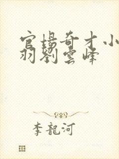 官场奇才小说陆羽刘云峰