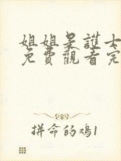 姐姐是护士高清免费观看完整版封面