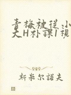 青梅被从小摸到大H补课1视频