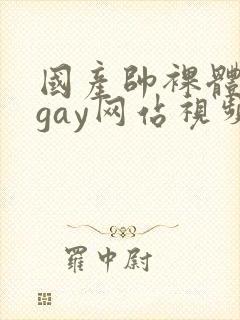 国产帅裸体男模gay网站视频