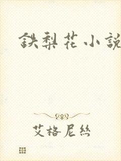 铁梨花小说