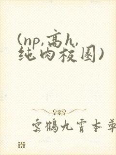 (np,高h,纯肉校园)封面