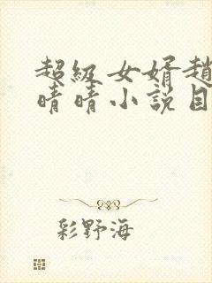 超级女婿赵旭李晴晴小说目录