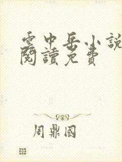 云中岳小说在线阅读免费封面