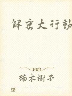 解密大行动