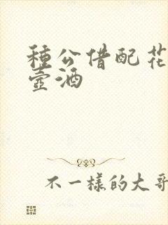 种公借配花间一壶酒封面