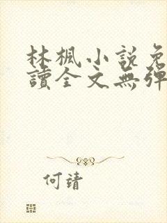 林枫小说免费阅读全文无弹窗封面