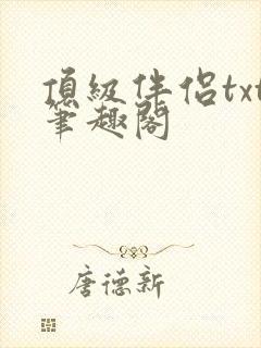 顶级伴侣txt笔趣阁