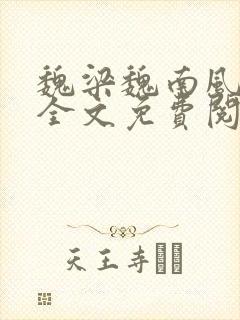 魏梁魏南风po全文免费阅读笔趣阁封面