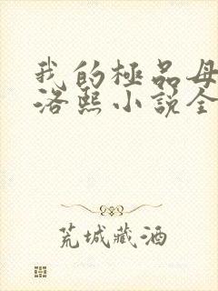 我的极品母亲林洛熙小说全文阅读