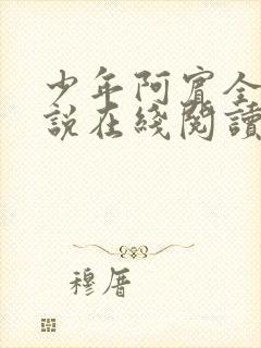 少年阿宾全文小说在线阅读