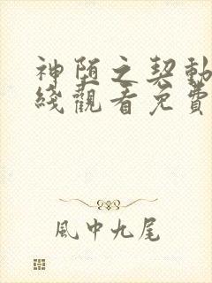 神堕之契动漫在线观看免费高清