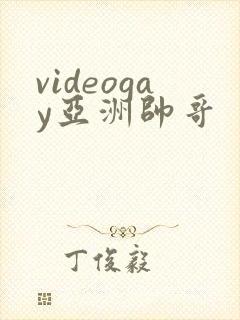 videogay亚洲帅哥