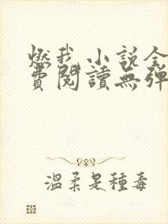 燃我小说全文免费阅读无弹窗