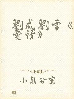 刘成刘雪《当代爱情》