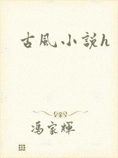 古风小说h封面