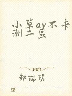 小草av不卡亚洲二区