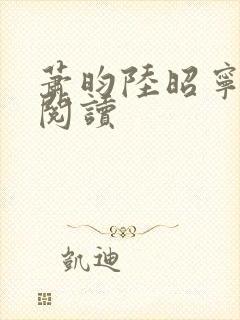 萧昀陆昭宁全文阅读