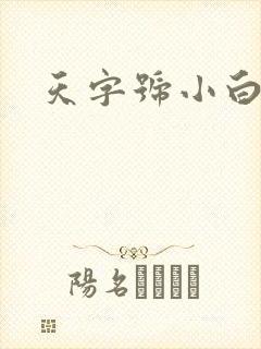 天字号小白脸