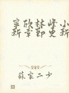 宁欣林峰小说最新章节更新笔趣阁