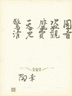 惊天魔盗团3高清免费观看