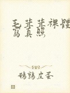 毛茸茸裸体艺术写真照