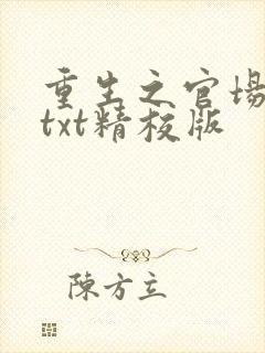 重生之官场风流txt精校版封面