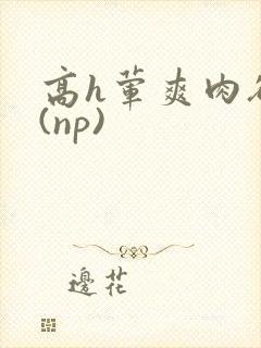 高h荤爽肉欲文(np)
