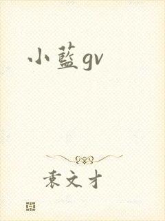 小蓝gv